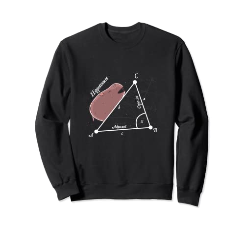 Funny Tees - T-shirt hippopotame mathématiques analytique géométrique triangulaire Sweatshirt