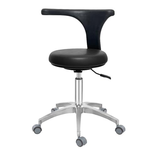 SFKLYU Silla Ergonómica para Esteticista, Giratoria Hidráulica y Ajustable, con Ruedas Estándar y Respaldo para Salón, Tatuaje, SPA, Clínica Dental,A1