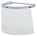 Faceshield, 8 x 15 1/2 x 0.04, Clear