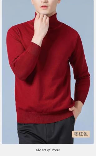 Men Cashmere Sweaters Soft Warm High Neck Knitted Pullover Sweaters4