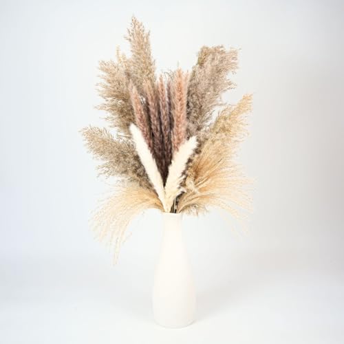Ramo Grande de Hierba Pampas Natural Secada 40-45cm miniatura 5