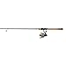 Pflueger President Spinning Reel and Fenwick Eagle Fishing Rod Combo, 30 Size Reel - 6'6