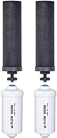 Set of 2 Berkey Authentic Black Berkey Elements (BB9-2) and 2 Berkey PF-2 Fluoride and Arsenic Reduction Elements - Combo Pack