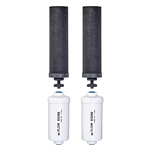 Set of 2 Berkey Authentic Black Berkey Elements (BB9-2) and 2 Berkey PF-2 Fluoride and Arsenic Reduction Elements - Combo Pack Cover