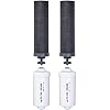 Set of 2 Berkey Authentic Black Berkey Elements (BB9-2) and 2 PF-2 Fluoride Reduction Elements - Combo Pack