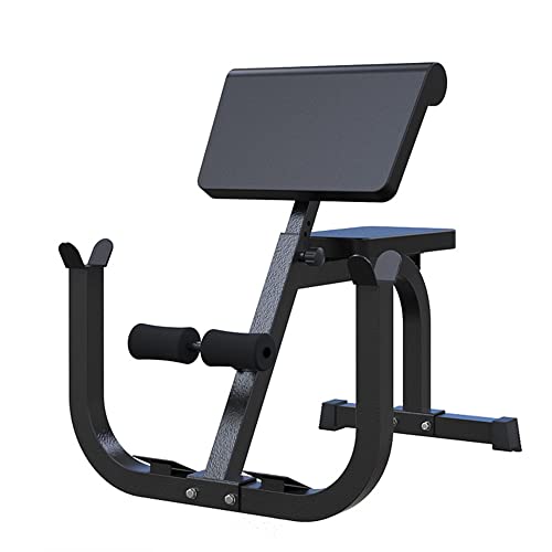 Commax Adjustable Roman Chair Preacher Curl Bench Back Hyperextension Dumbbell Weight Bench Upper Limb Muscle Strength Training Machines #TOP24