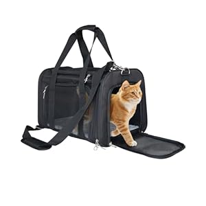 L&W BROS. Airline Approved Cat Carrier – Soft Sided Pet Travel Bag for Cats and Small Dogs Under 16 lbs TSA Approved Pet Carrier in Cabin (Black)