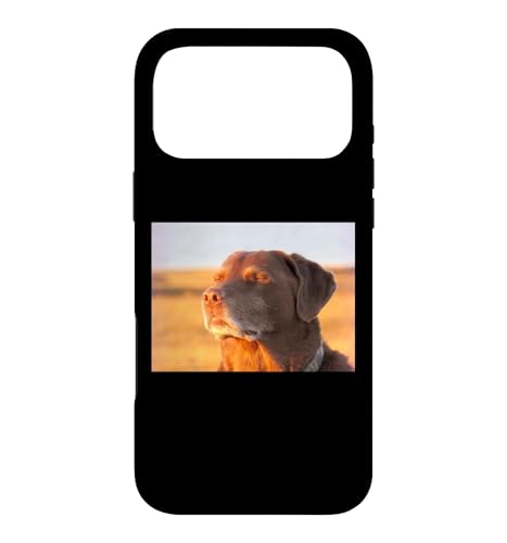 I'm Cooked Dog Funny Meme ���u���h�[�����g���o�[ �X�}�z�P�[�X iPhone 17 Pro Max �p