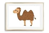 Din A4 Kunstdruck ohne Rahmen - Niedliches Kamel - 