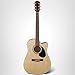 Gretsch Prelude D100CE Dreadnought Cutaway Acoustic/Electric Guitar, Beginner Guitar, Natural