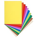 Exacompta Flash 220 - Paquete de 100 subcarpetas, multicolor