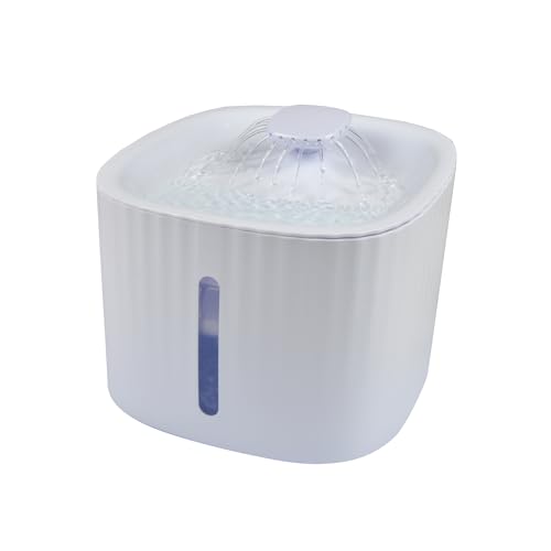 Love Story Fontaine à Eau pour Animaux 3L