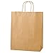 Produktbild Thepaperbagstore Braun Papiertragetaschen, Recycelbar Und Wiederverwendbar, Mit Gedrehten Griffen - Wählen Sie Ihre Größe und Menge (50, Mittel 250x110x310mm)