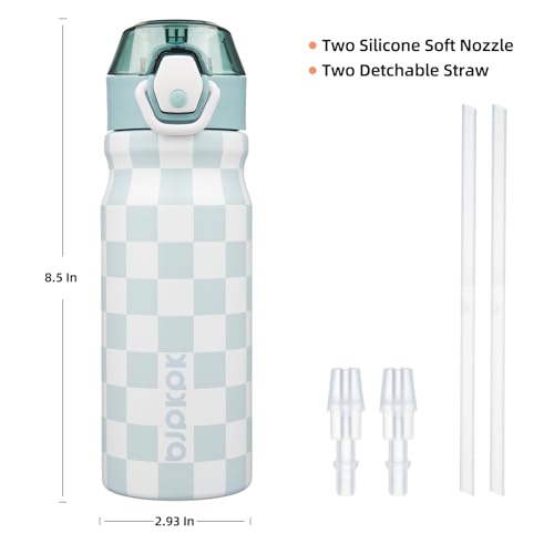 Image of BJPKPK 18 oz Water Bottle with Straw & Handle, Insulated Stainless Flask | Leak Proof Locking Lid, Thermal, Double Wall Vacuum, Metal, Keeps Hot /Cold, BPA Free, Travel & Sports, Plaid