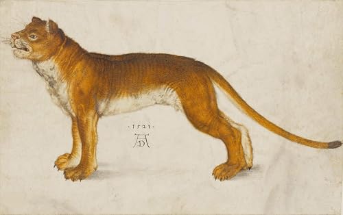 Art mural lionne d'Albrecht Dürer poster vintage pour la décoration d'une chambre 60x90cm
