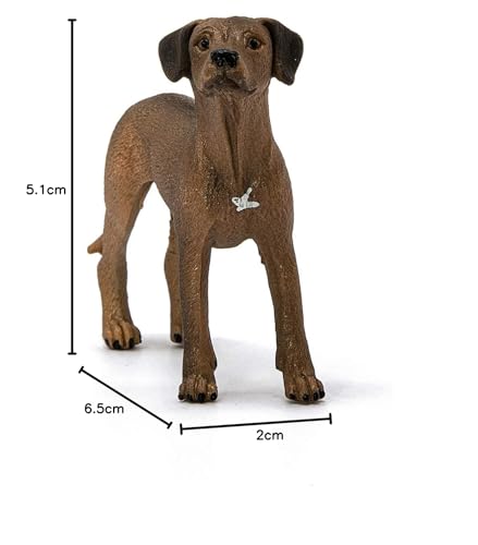 SCHLEICH 13895 Rhodesian Ridgeback, für Kinder ab 3+ Jahren, Farm World - Spielfigur