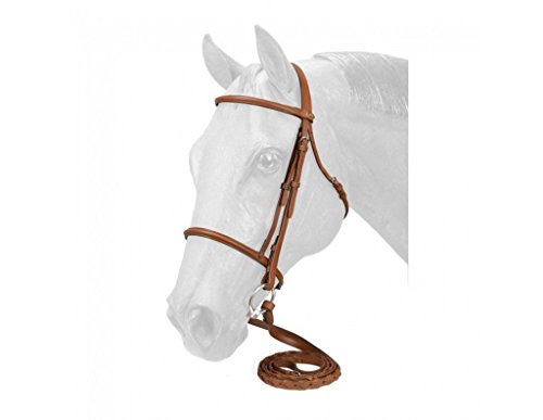 SilverFox Raised Snaffle Bridle Chestnut Horse