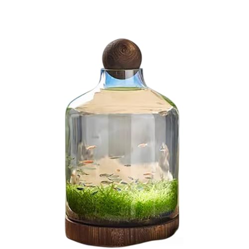 TPPT KX ؐgCt zf iϋ krp rO ֑ ԎK KX }CNGRXtBA (,D)