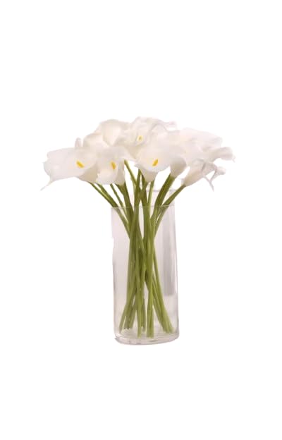 DECOALIVE | Ramo Cala Blanca | Bouquet 10 Flores | Calas Blancas Naturales y Frescas