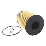 SCETXLL oil filter 11425A33C42 11425A33C43 11427583220 11427848321 compatible with BMW engine F02