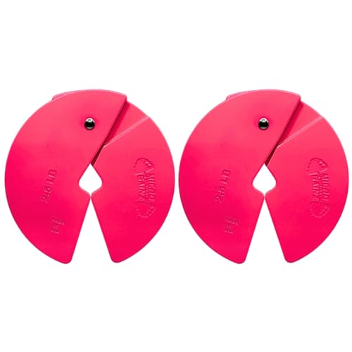 Image of Micro Gainz 2.5LB Dumbbell Fractional Weight Plates, 2-Piece