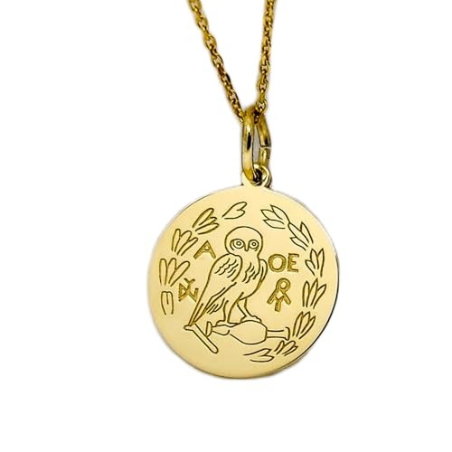 Collier pendentif pièce de monnaie gravée hibou LKBEADS argent plaqué or pour homme et femme