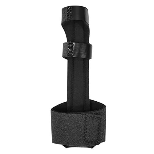 tBK[u[X-܂ɂ邽߂̃A~jEbhtBK[Xvg-\Ȏwu[XT|[g荜u[Xwp[vXgbv