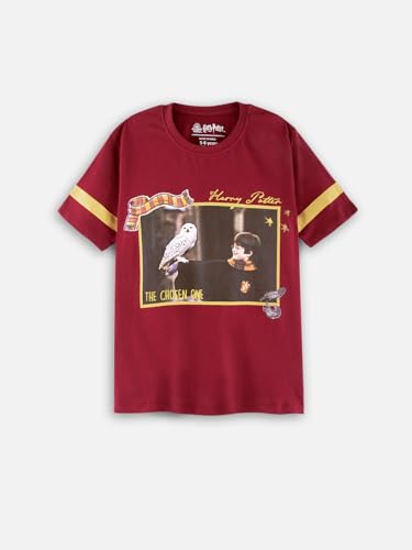 Nap Chief Kids Cotton Official Harry Potter Co ord Set for Boys & Girls, T Shirt And Shorts for Casual Wear - (WB1047Y_Rust_7-8 Years)