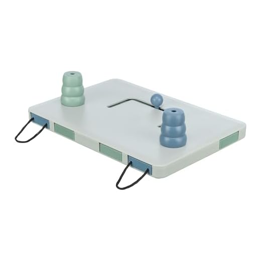 TRIXIE Intelligenzspielzeug DOG ACTIVITY Move2Win fuer Hunde, 32025