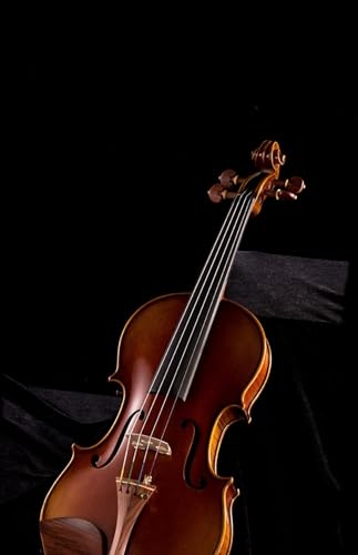 @CI oCI vtFbVi [bpf C^AoCI l (1/4)