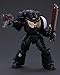 JoyToy Warhammer 40K Genuine License 1:18 Action Figure, Space Marines Black Templars Outriders Brother Valtus, 4.96 inch Collectible Action Figures Sets