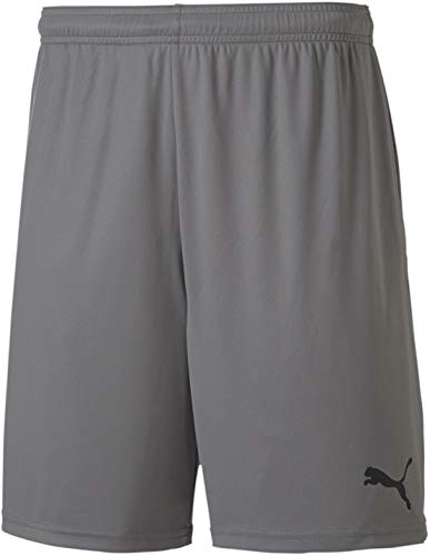 Puma Mens TeamGOAL 23 Knit Shorts, Steel Gray, Steel Gray, Large US