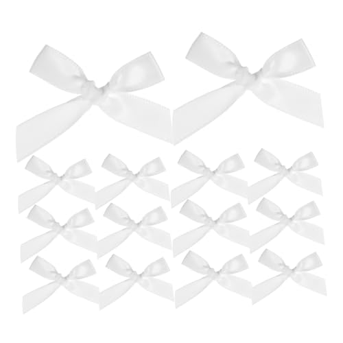 VALICLUD 200~jTe{{E 炩Ȍ vgdグ v[gp wA{E ^i ߉\  a NX}X p