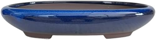 Genérico BIOMATA Maceta Bonsai Ceramica