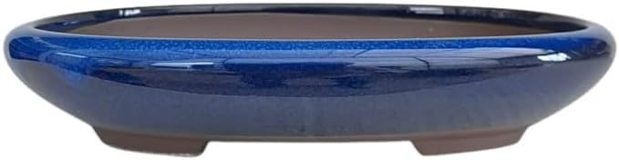 Genérico BIOMATA Maceta Bonsai Ceramica para Kifu/Shohin 16,5x13,2x3,7 cm | Tiesto Ovalado | Maceta para Bonsai Resistente a Cualquier Clima | Tiesto Ceramica con Drenaje (Azul)