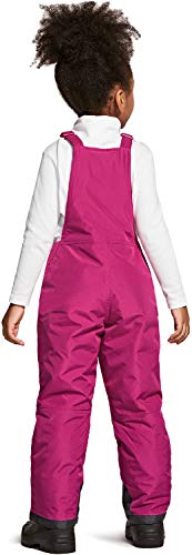 Tsla Kids Little Boys Girls Baby Winter Snow Bibs, Waterproof Insulated Snowboard Overalls, Ripstop Ski Pants, Winter Snow Overall Plum, 5T #TOP2