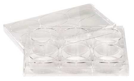 229506 - 6 Well Non-treated Plate with Lid, Sterile by CellTreat