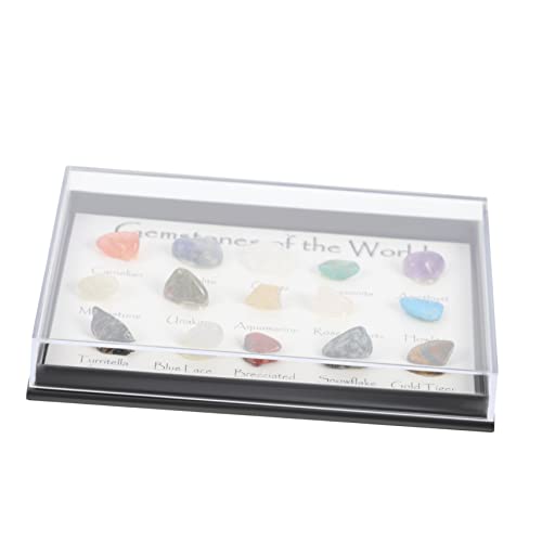 LIFKOME Types of Natural Mineral Specimens Educational Geology Materials for Home Office Display Unique Ore Stones Collection Novel Mineral Specimens