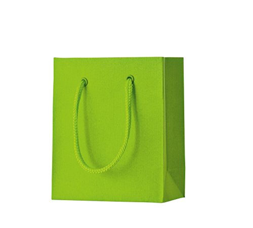 Stewo Gift Bag 1 Piece with Grooved Edges, 12 x 6 x 14 cm, Light Green, 12x6x14 cm