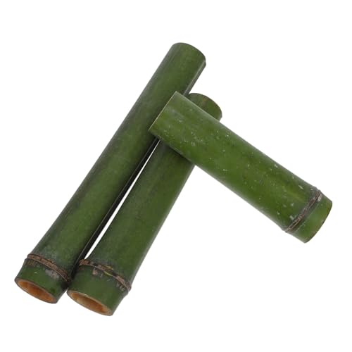 HOLIDYOYO 3pcs Tube Flower Holder Minimalist Vase for Potted Plants Centerpiece Decor and Floral Arrangements Table Accent for Weddings and Home