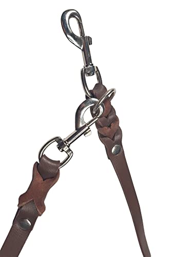 VlaMiTex D2 Freihandleinen Hundeleine Leder Hunde Führleine Fettlederleine Verstelbar 6 Farben (Braun, 2 x 250 cm)