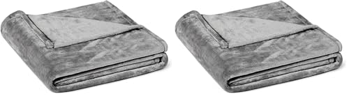Image of Amazon Basics Soft Fleece Throw Blanket, Ultra-Soft Flannel Fleece Microfiber, Lightweight Warm Cozy for Couch Sofa Bedroom, Fade-Resistant, 50 x 60 Inches, Gray (Pack of 2)