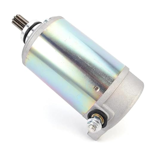 I[goCANZT[ X^[^[[^[ ɓKUTV 800 1000 h~l[^[ X2 X4 LT WONX 800ST-2p