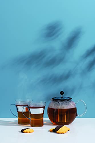 Bodum Assam Glass Tea Press With Stainless Steel Filter, 17-Ounce #TOP7