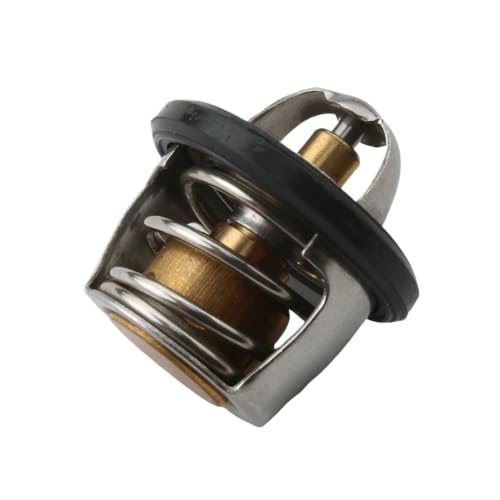 Termostato de agua compatible con GTS300 y Cruisym300