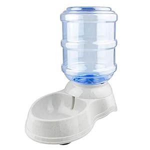 Fiiman Automatischer 1 Gallone Trinkbrunnen