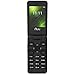 Ultra Mobile Silver NUU Mobile F4L LTE Flip Phone plus 1st month of Service 1GB SIM Kit