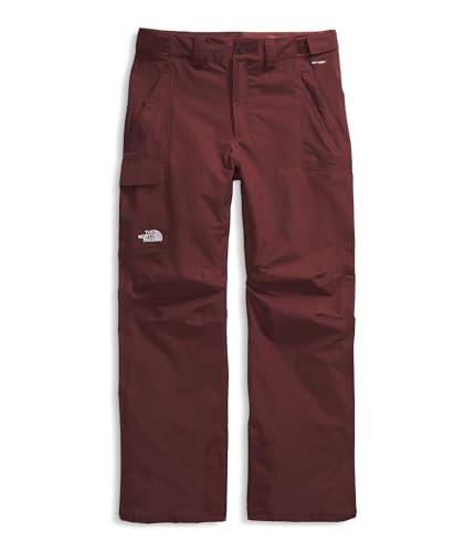 Image of THE NORTH FACE Men's Freedom Snow Pant - Long