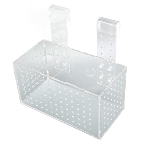 Écloserie d'aquarium transparente pour protéger les petits poissons de la prédation