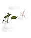 Umbra 325560-660 Showcase Floating Shelves (Set of 3), Gallery Style Display for Small Objects and More, White